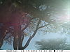 trailcamera-365.JPG