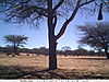 trailcamera-378.JPG