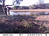 trailcamera-396.JPG