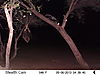 trailcamera-418.JPG