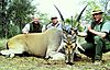 Cape_Eland_46_1-4_Pic.jpg