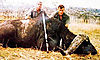 hunt-buffalo-big.jpg