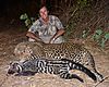 Leopard_and_Civet_.jpeg