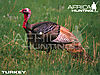 turkey-hunting-vitals.jpg