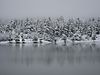 Snow_fall_in_Utah.jpg