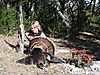 Hunter_Turkey_Texas_2009.jpg