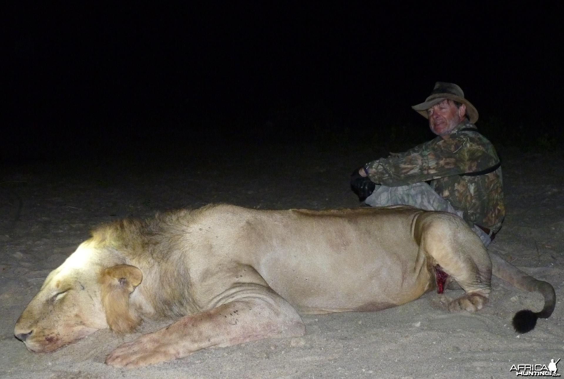 Lion hunted in the Selous, Tanzania