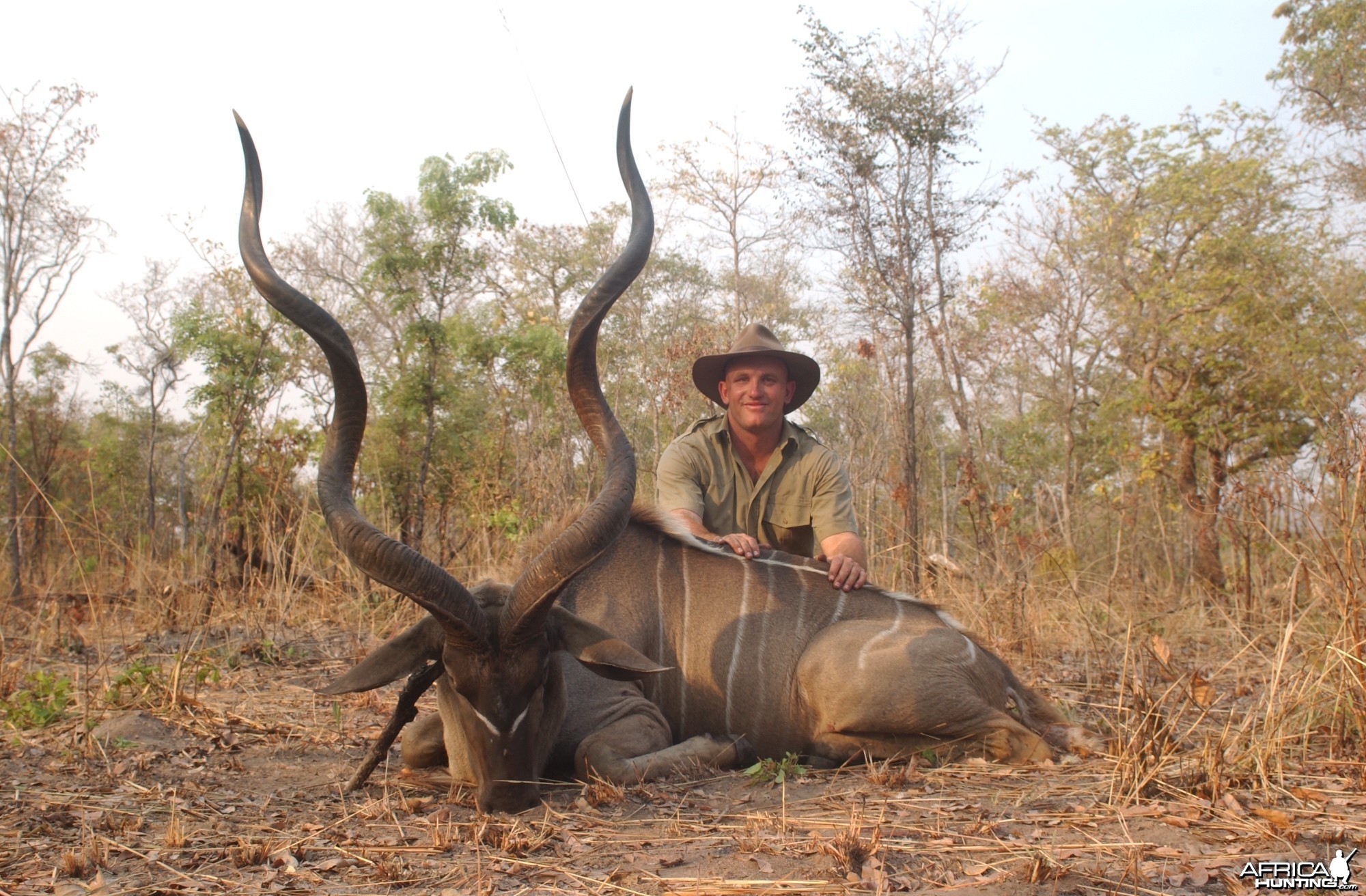 58&quot; East African Kudu