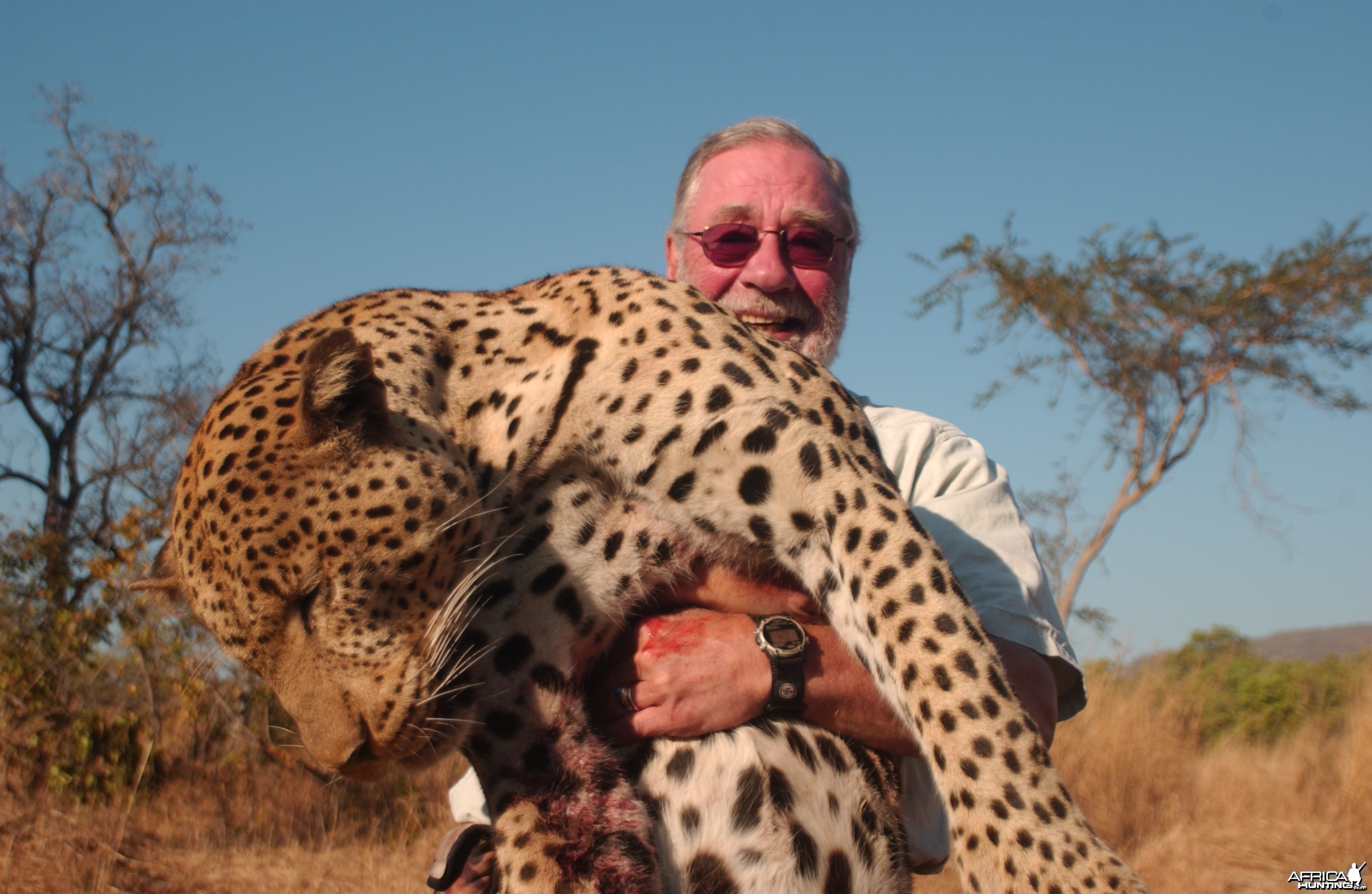 Tanzania leopard