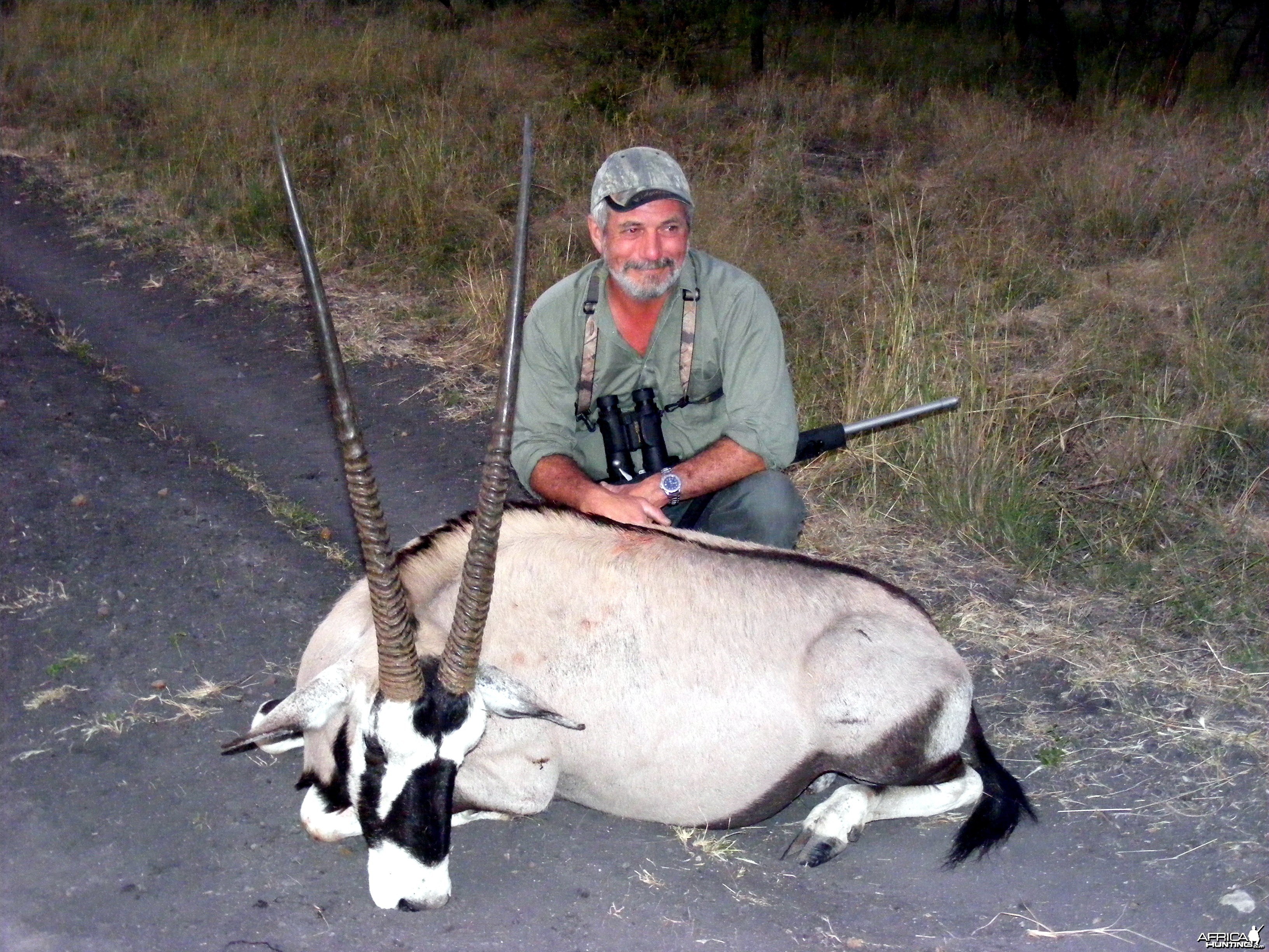 Gemsbok 35 Limpopo 2010