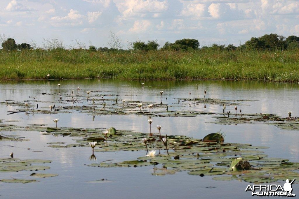 Caprivi Namibia