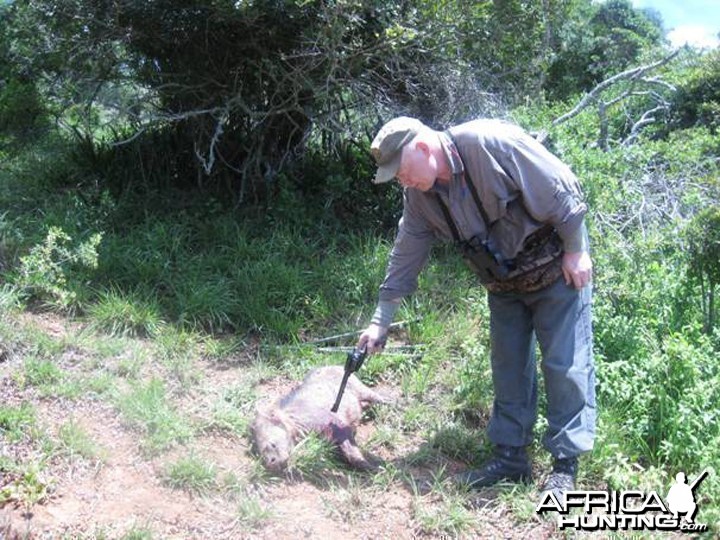 Handgun Hunting Warthog