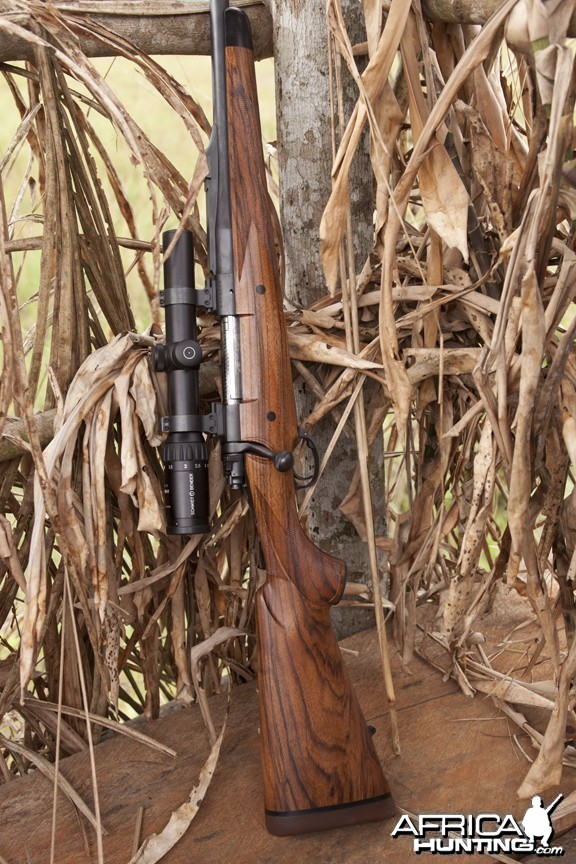 Winchester Model 70 in .375 H&amp;H