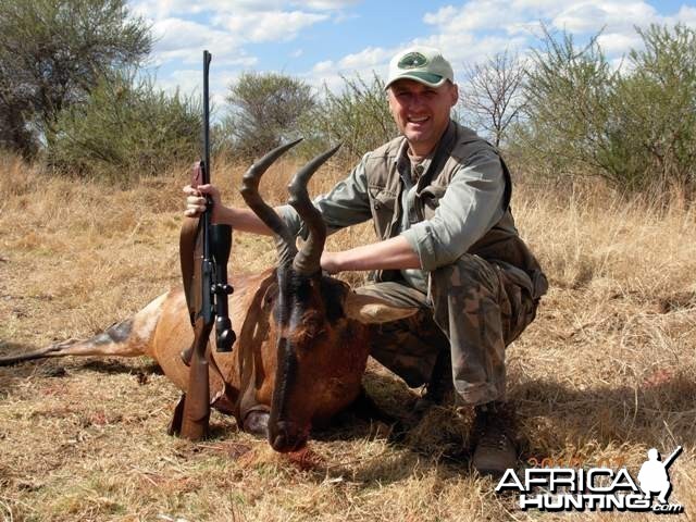 Hunting Hartebeest