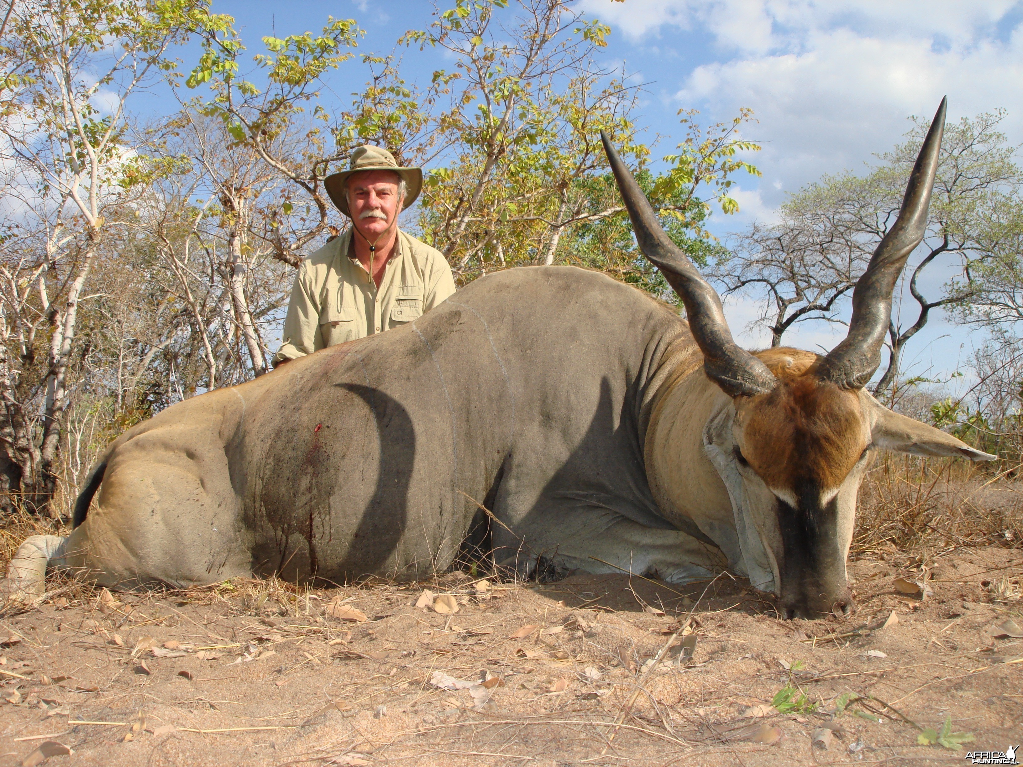 Hunting East African Eland Tanzania