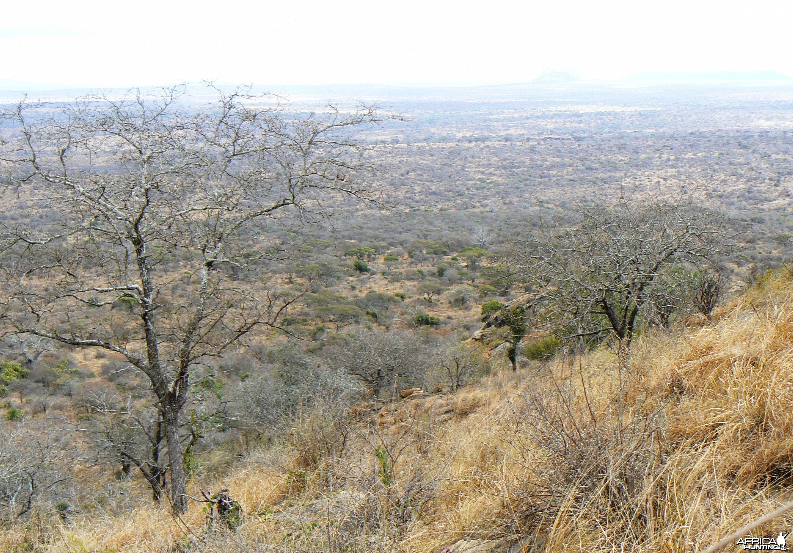 Hunting in Tanzania