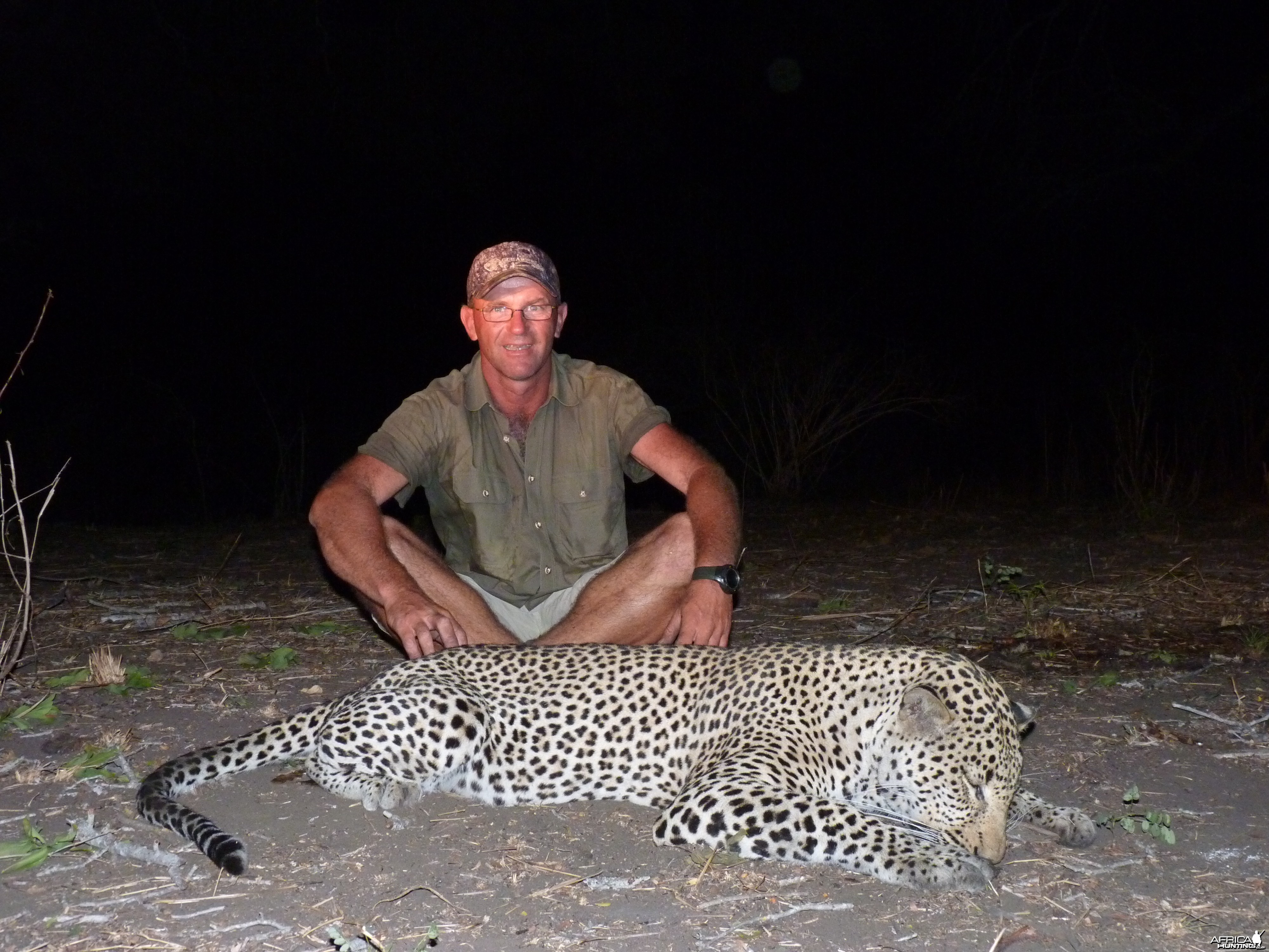 Hunting Leopard Tanzania