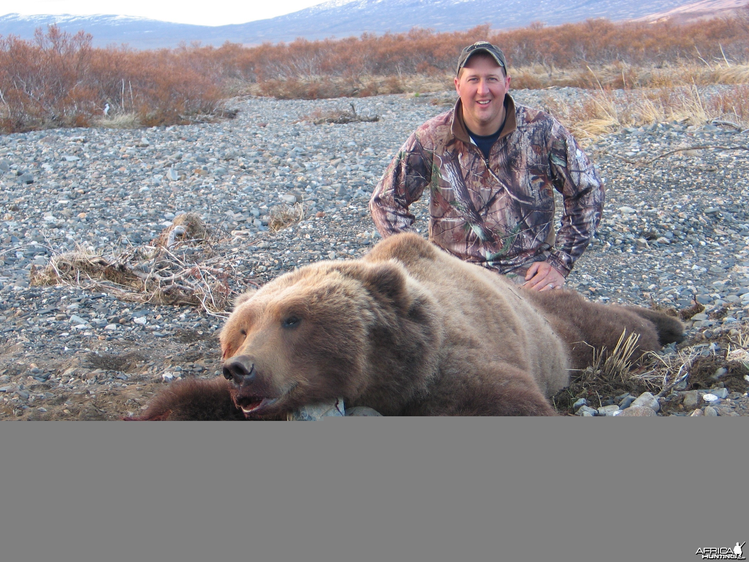 Hunting Alaskan Brown Bear