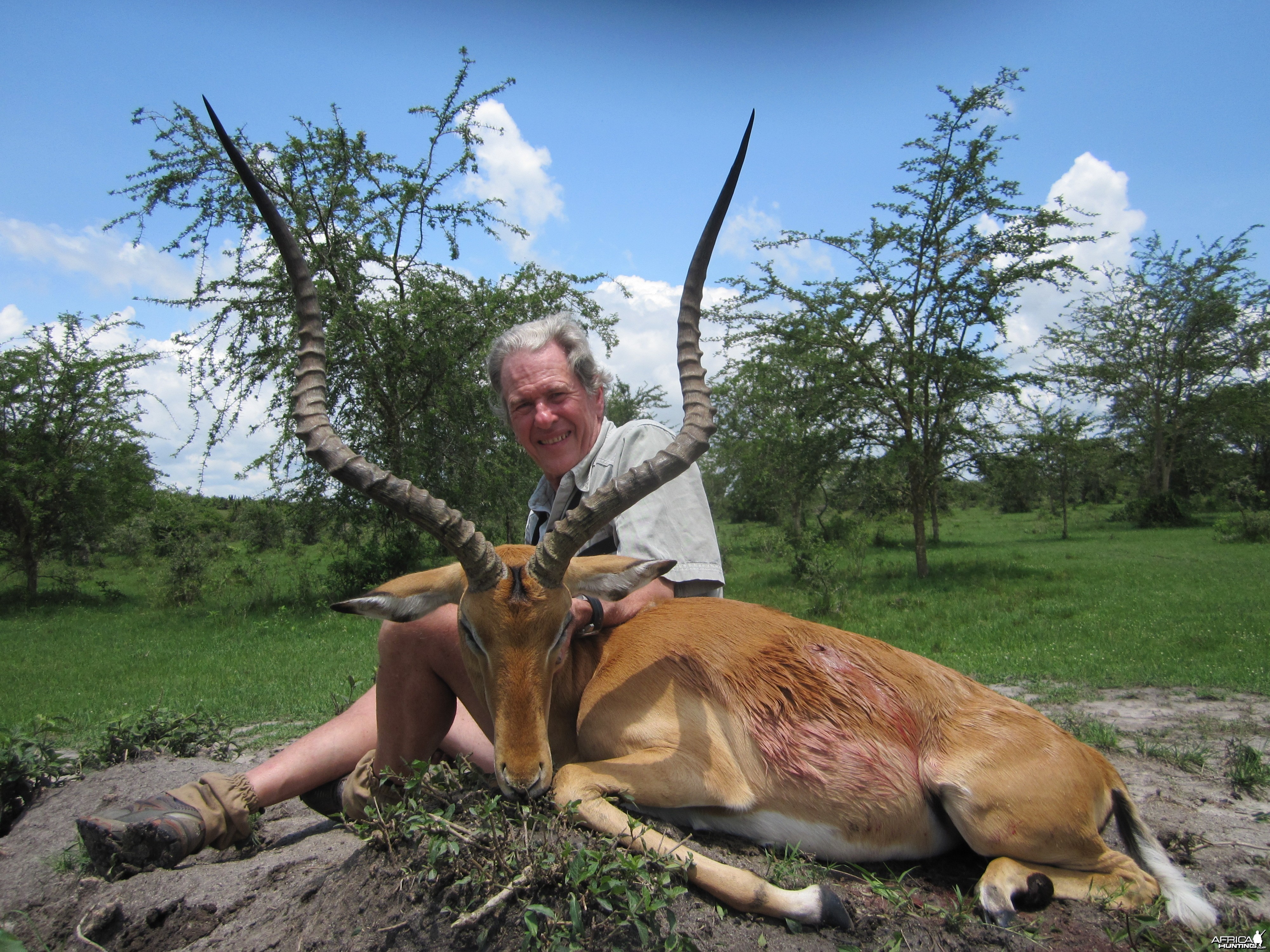 31 inch East African Impala Uganda
