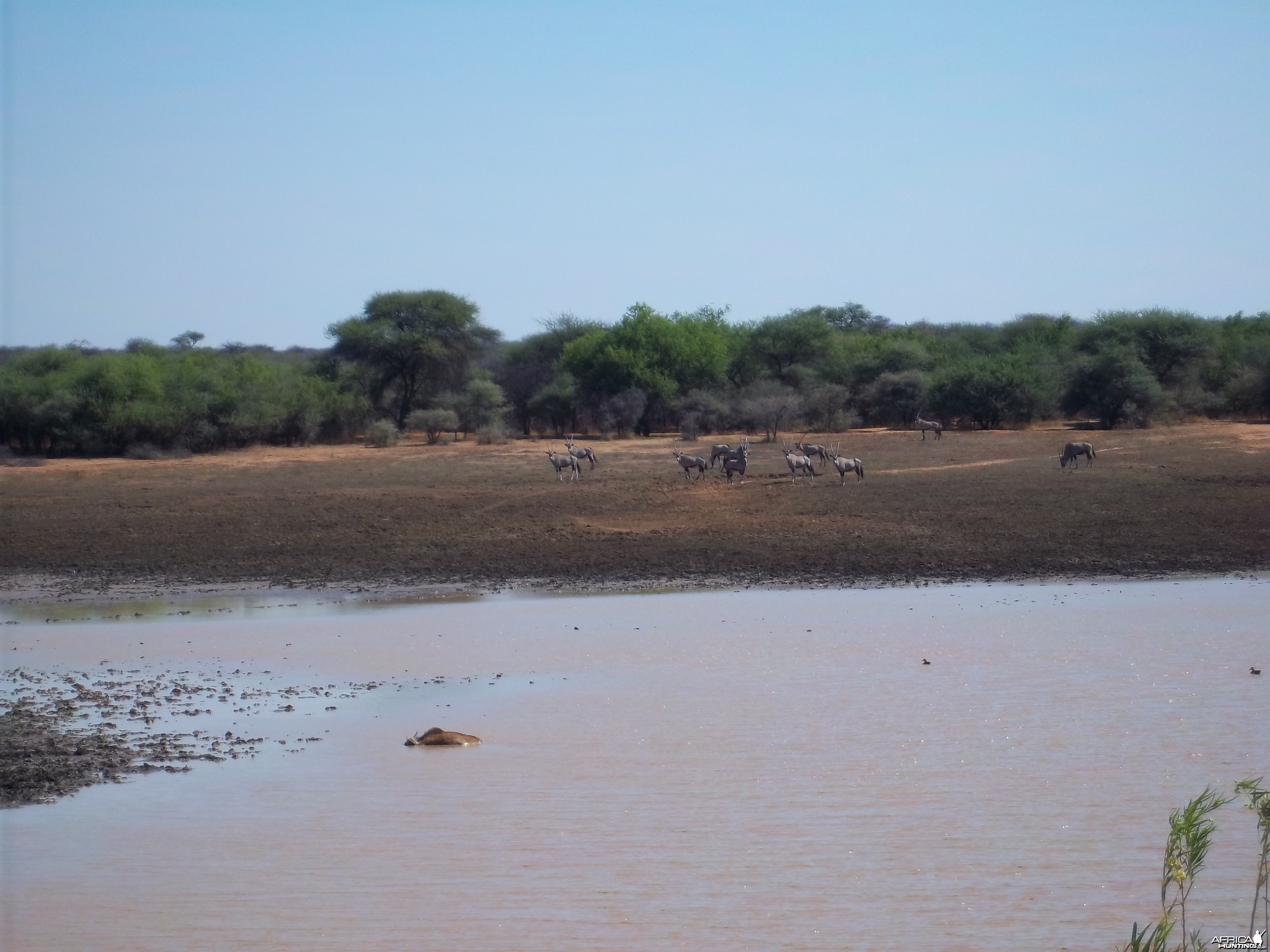 Hunting in Namibia