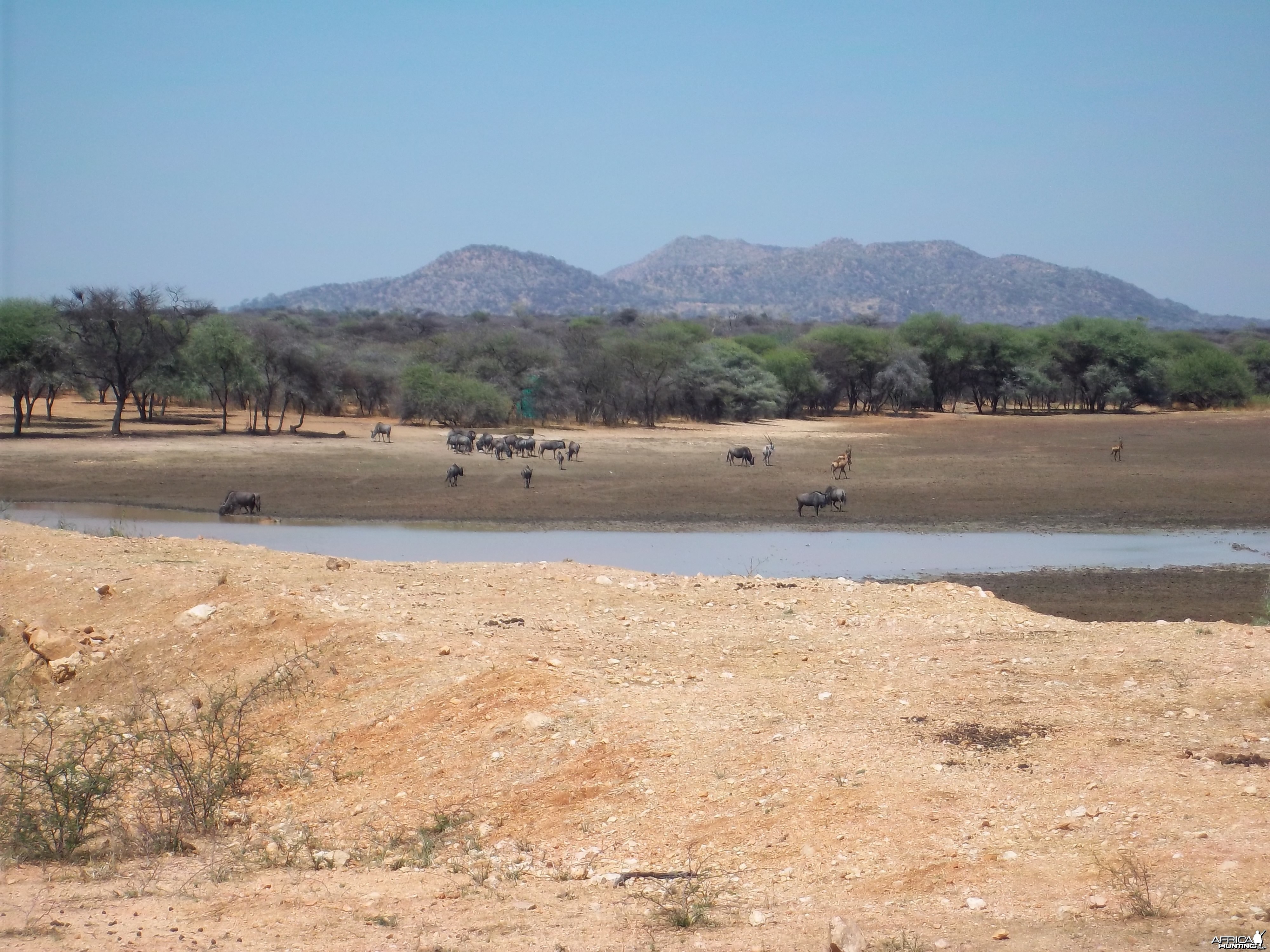 Hunting in Namibia