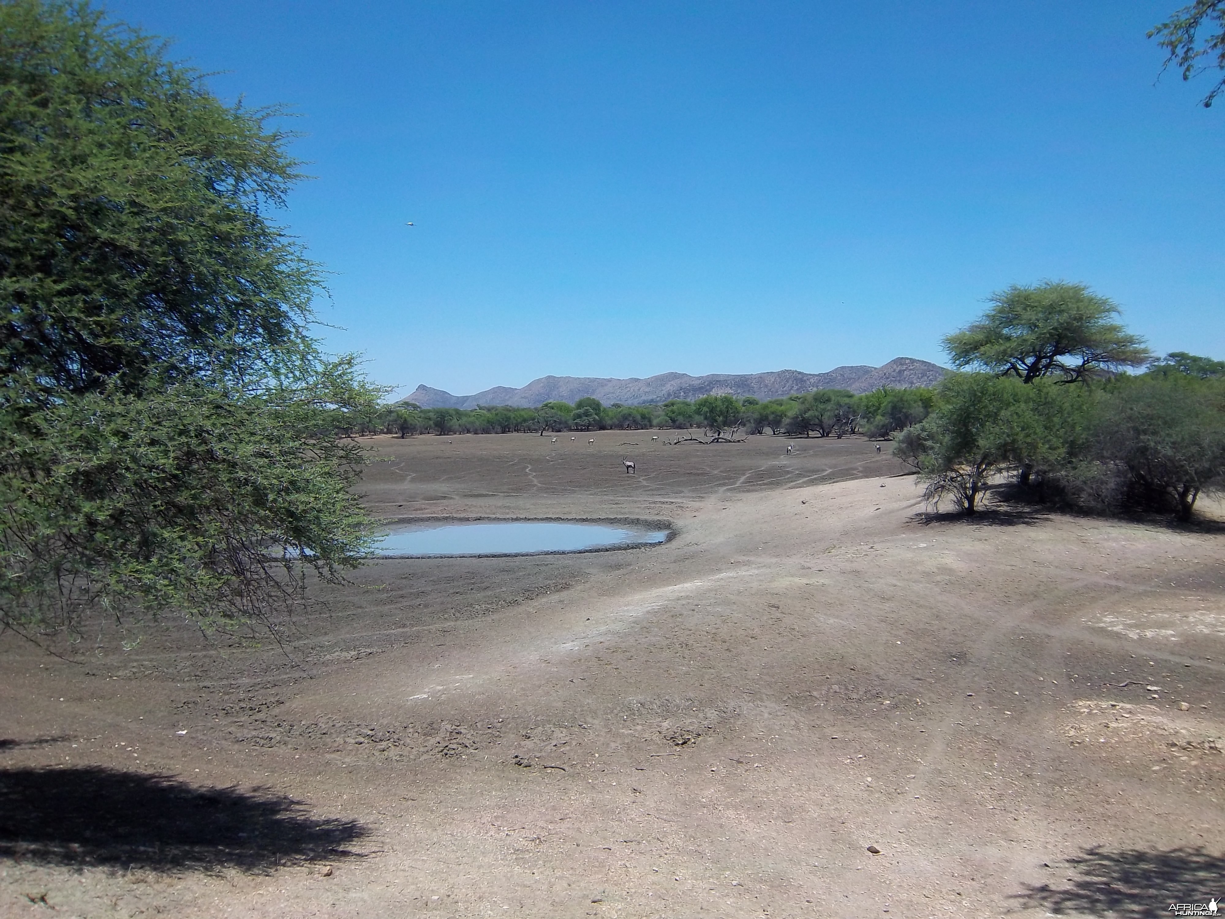 Hunting in Namibia