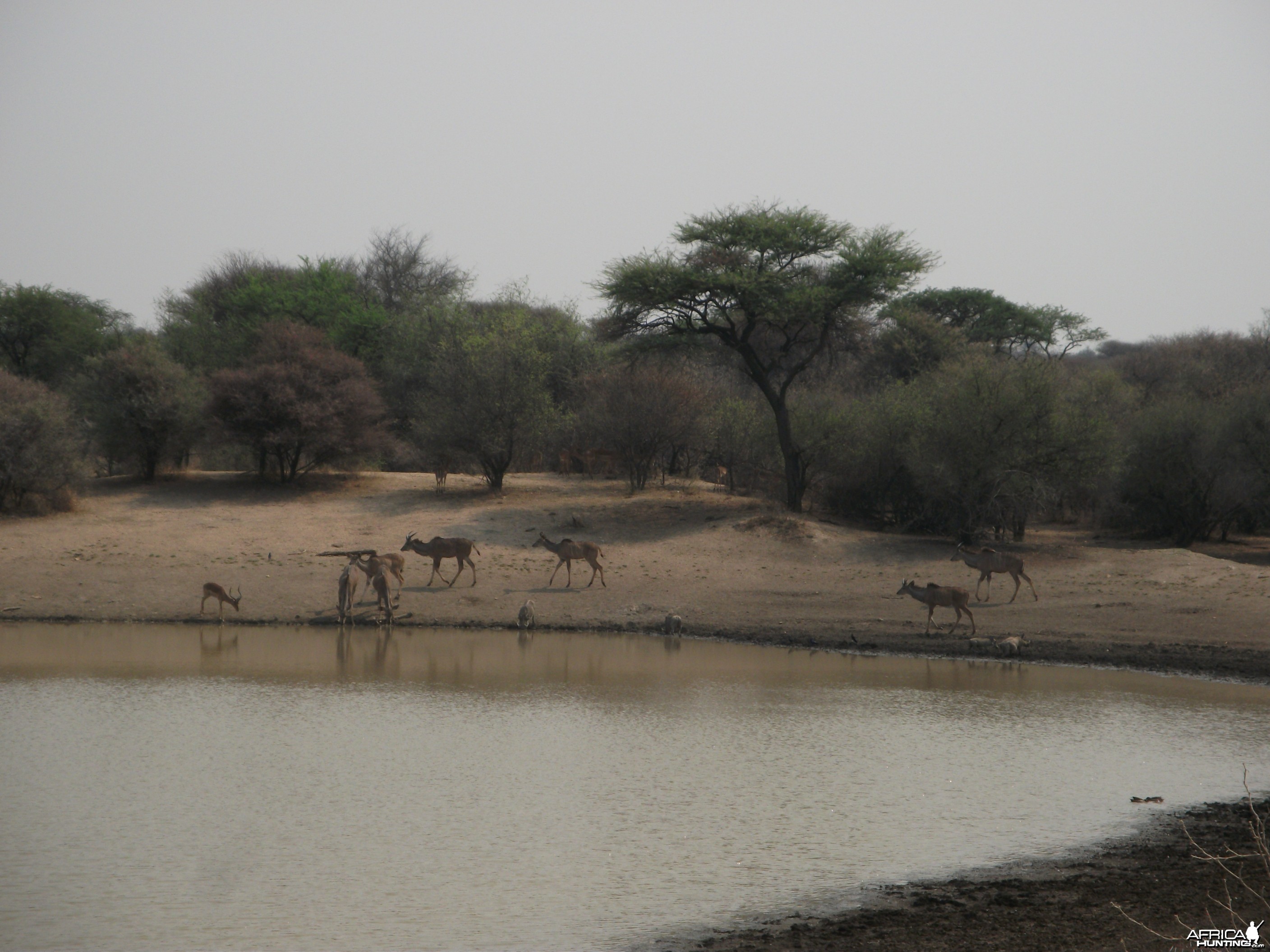 Hunting in Namibia