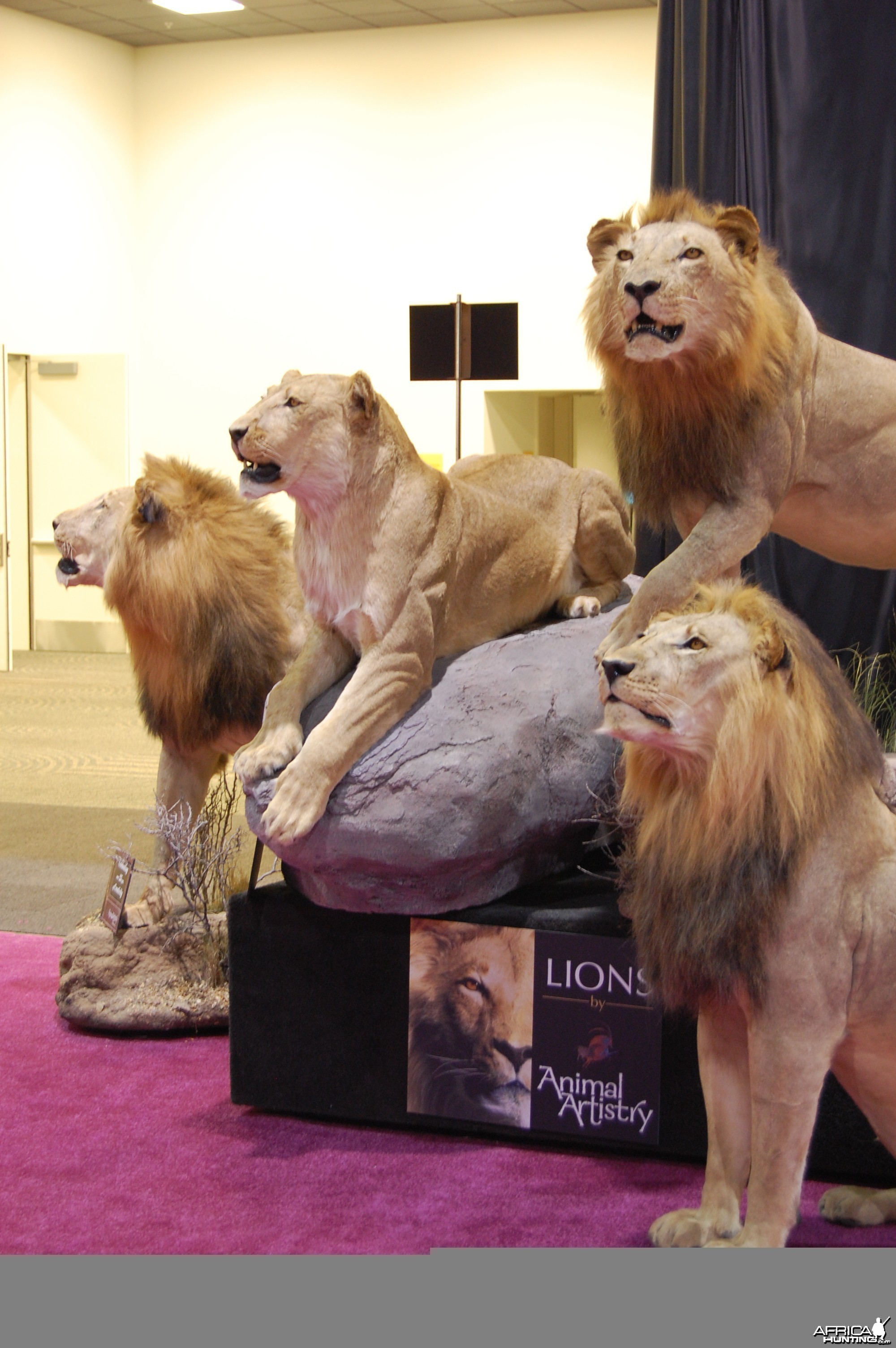 Taxidermy at Safari Club International Convention