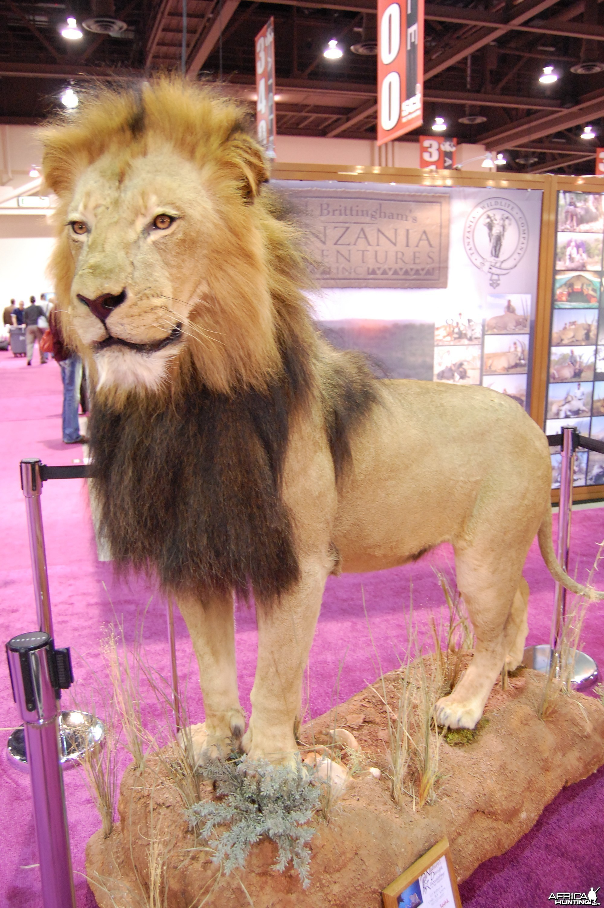 Taxidermy at Safari Club International Convention