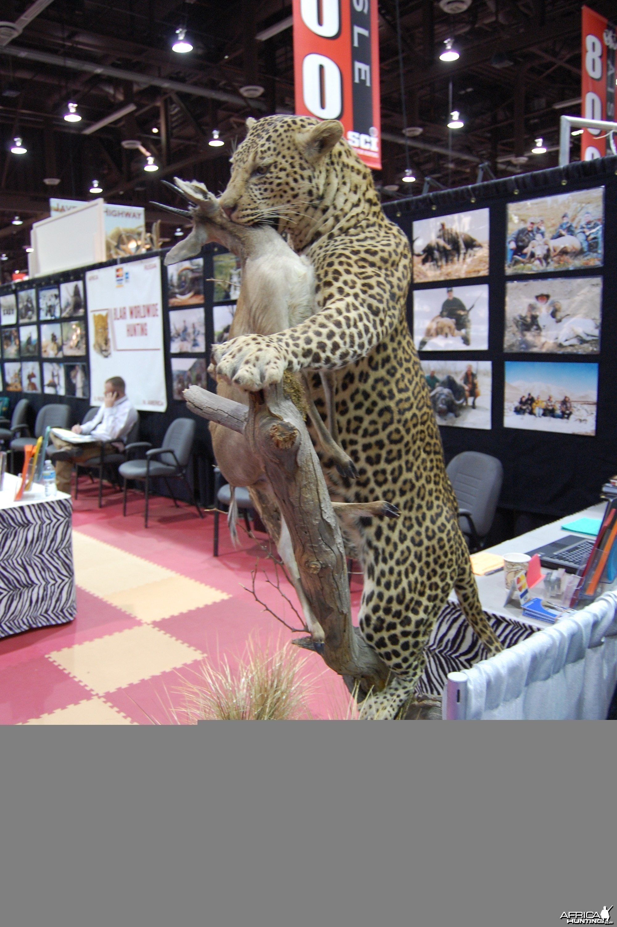 Taxidermy at Safari Club International Convention