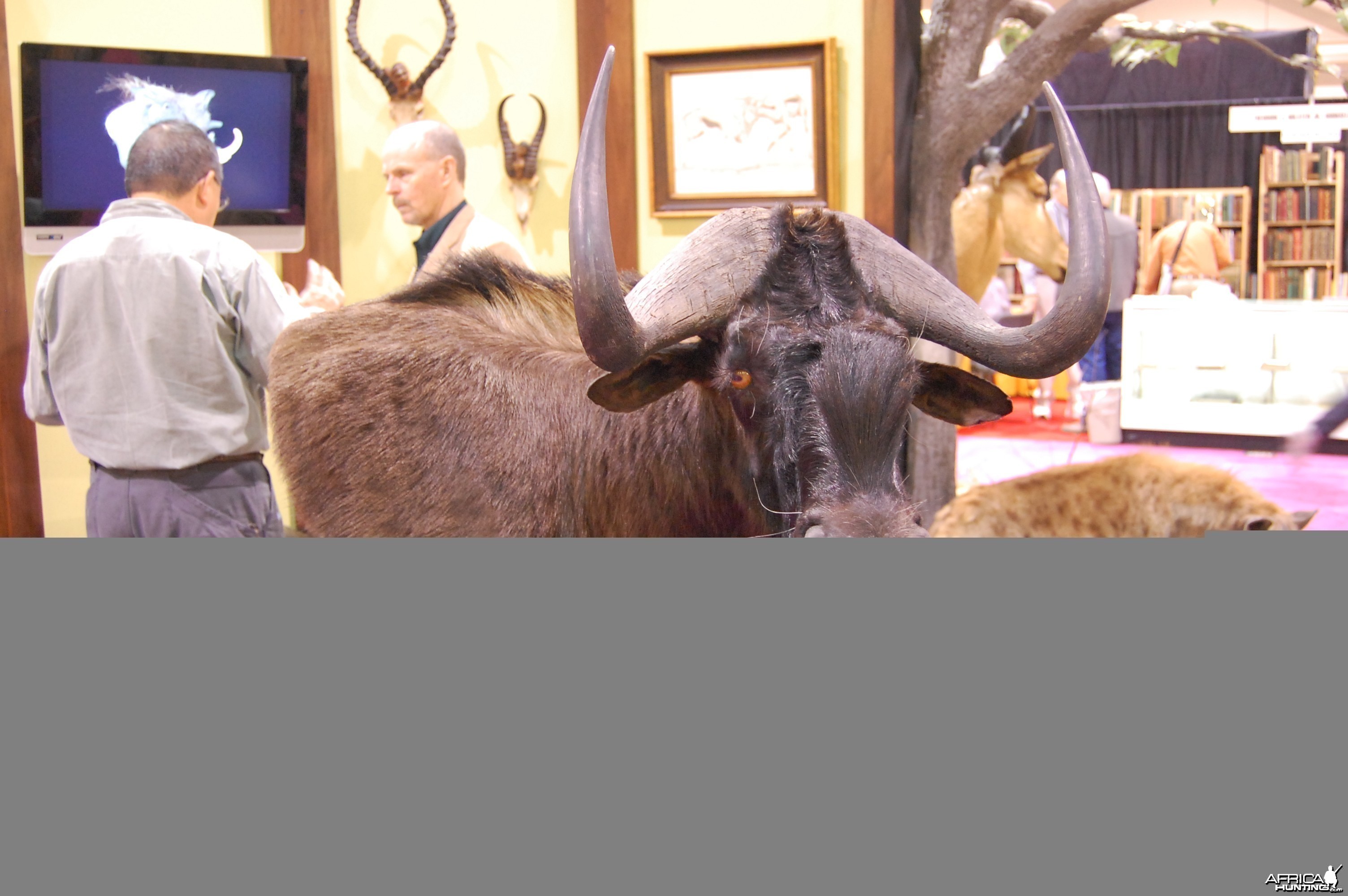 Taxidermy at Safari Club International Convention