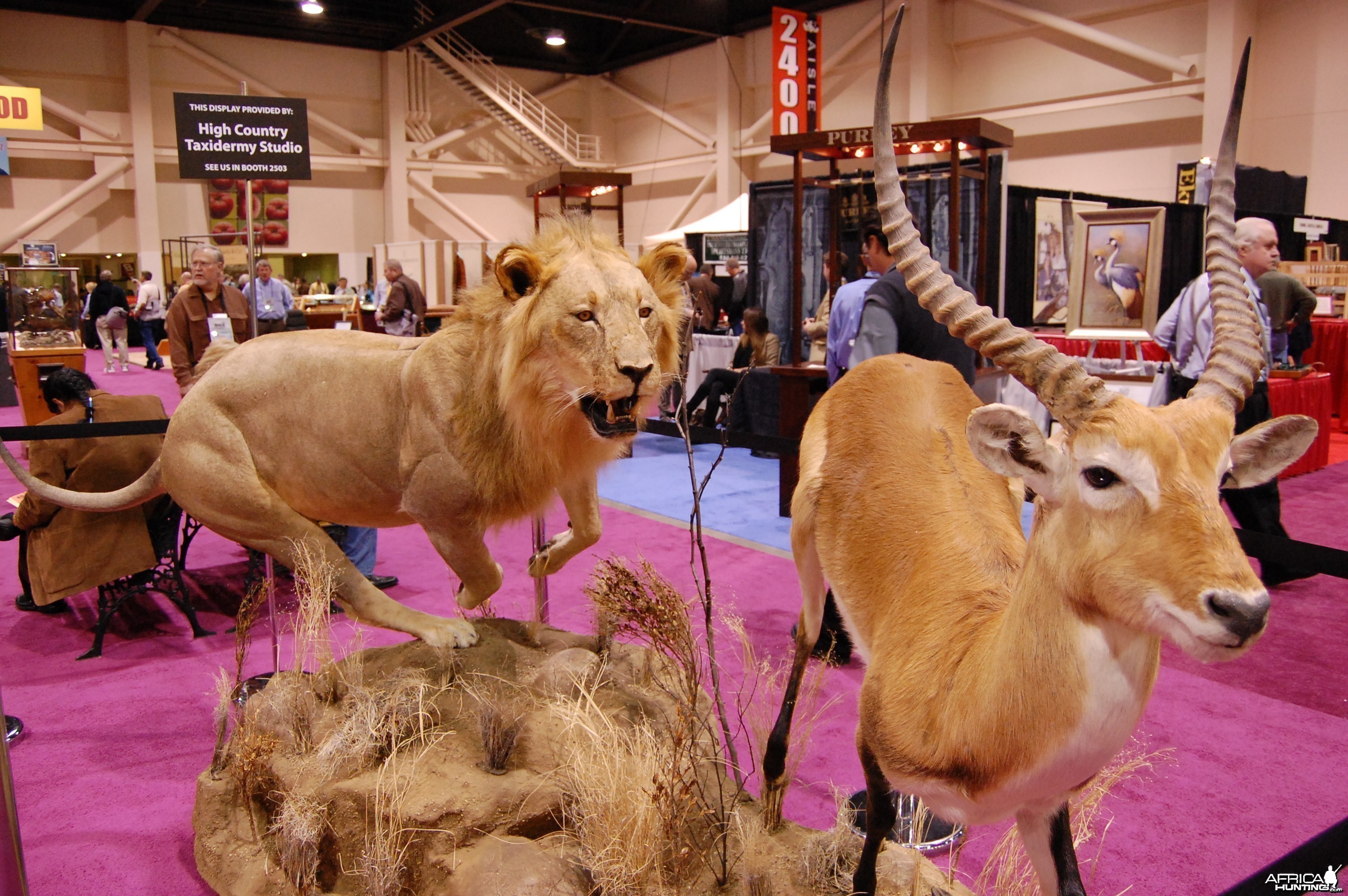 Taxidermy at Safari Club International Convention