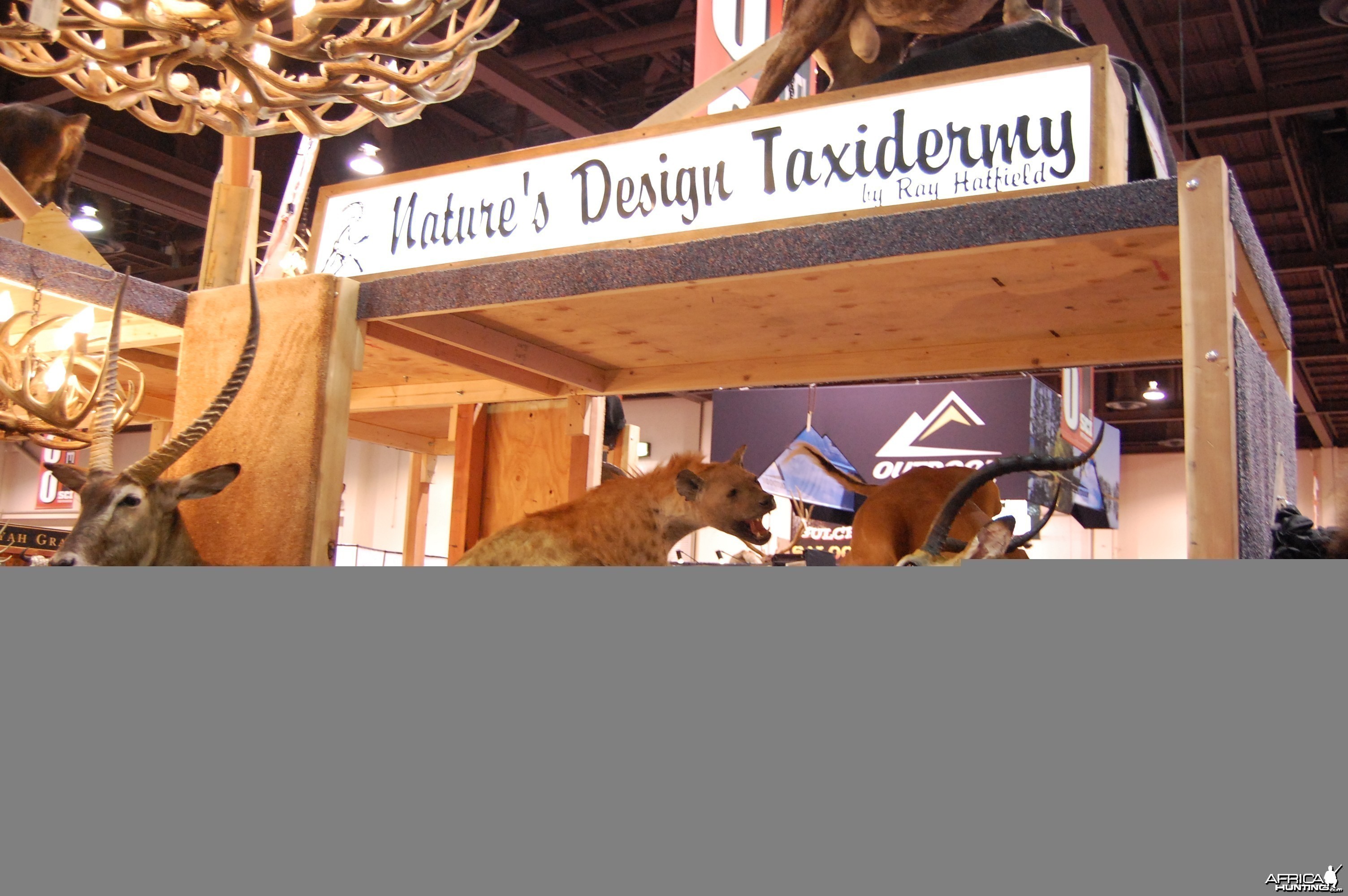 Taxidermy at Safari Club International Convention