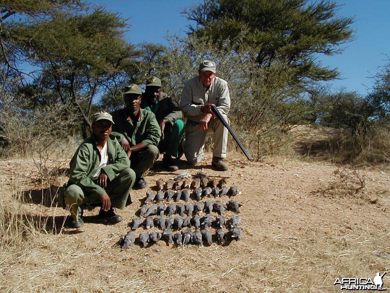 Sand Grouse &amp; Dove Hunting in Namibia