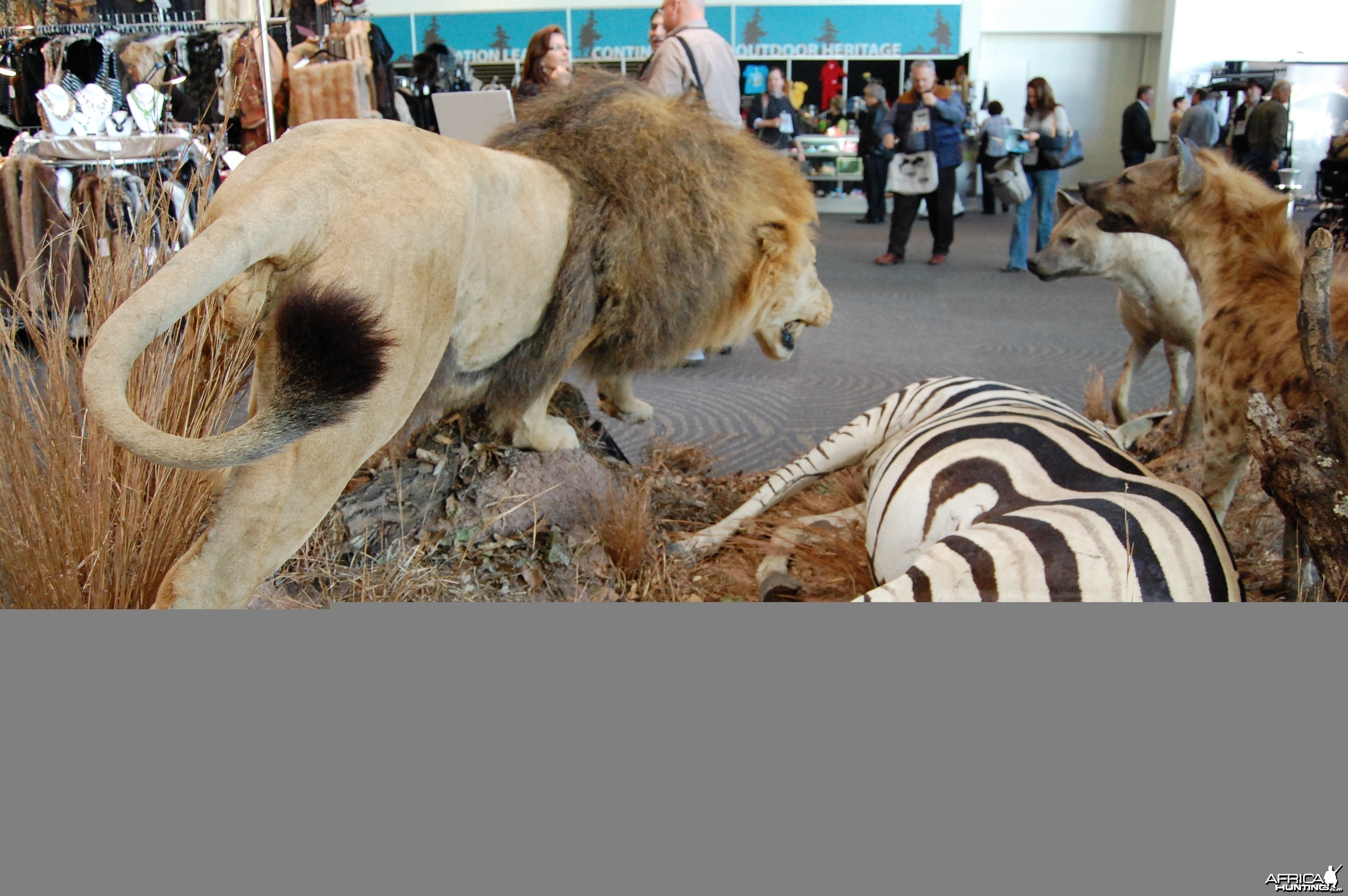 Taxidermy at Safari Club International Convention