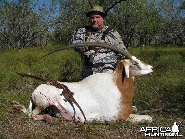 Bowhunting Scimitar Horned Oryx