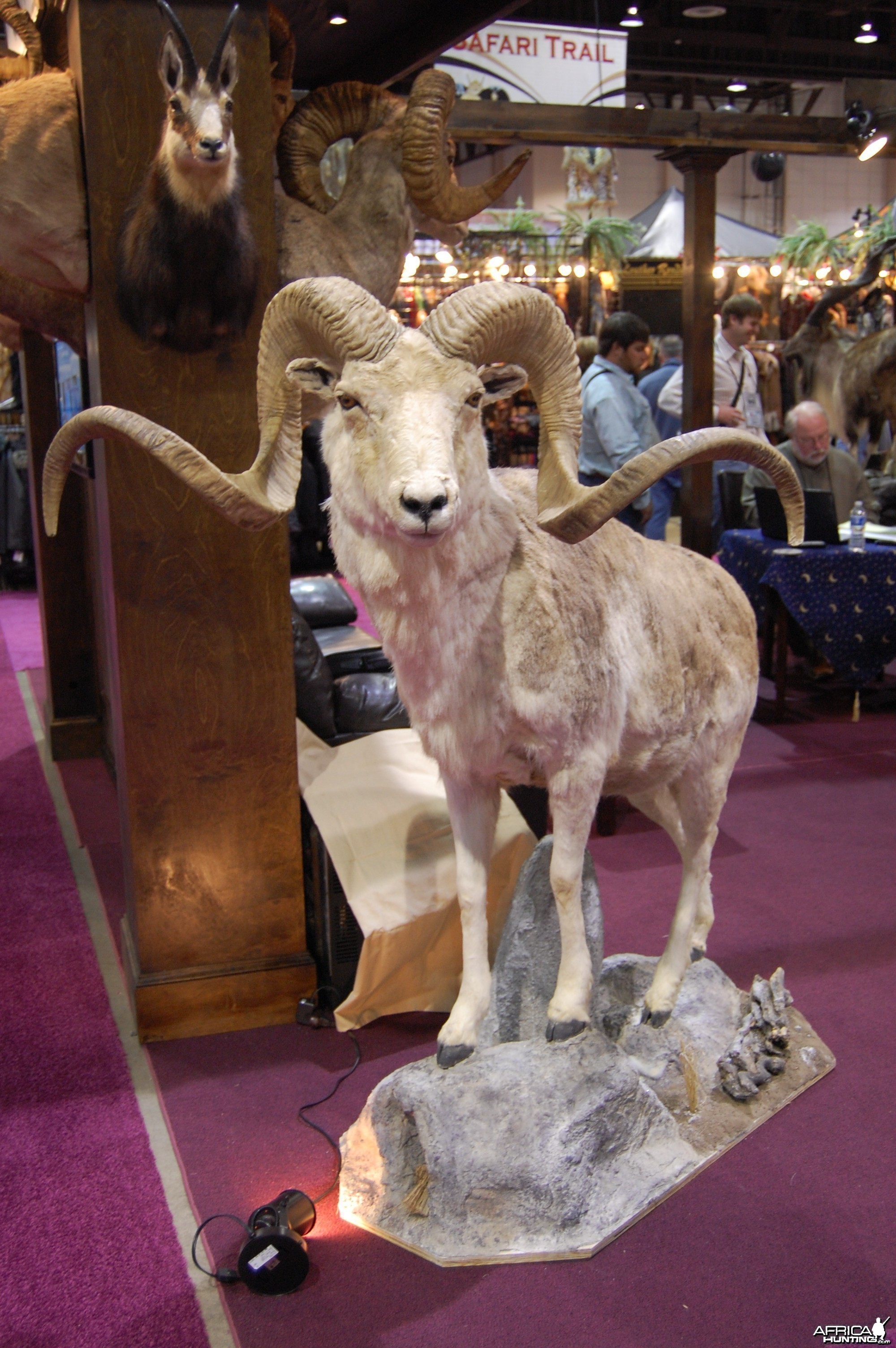 Taxidermy at Safari Club International Convention