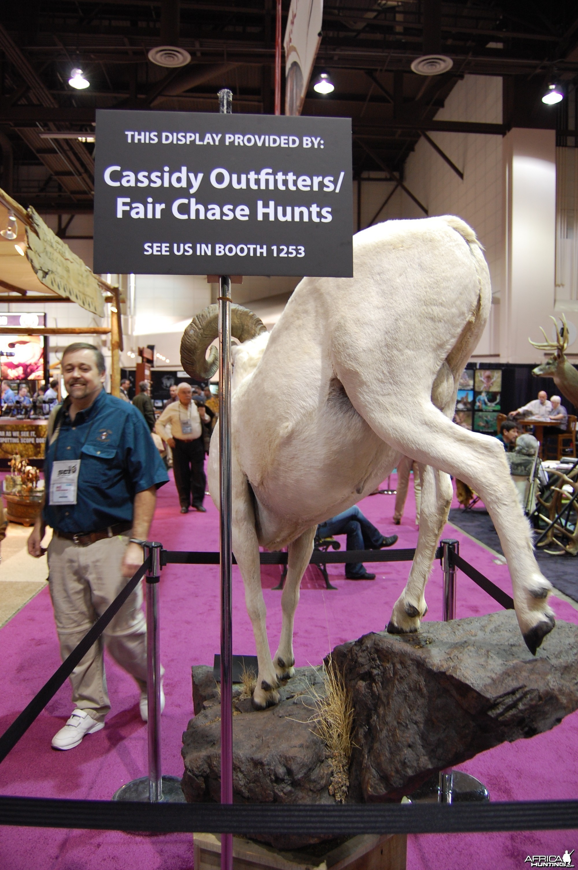 Taxidermy at Safari Club International Convention