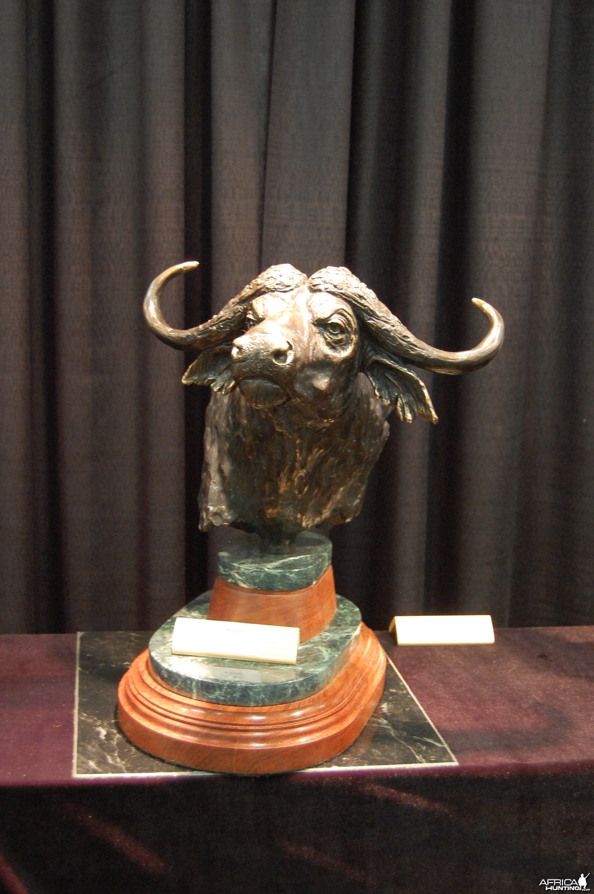 Cape Buffalo Bronze