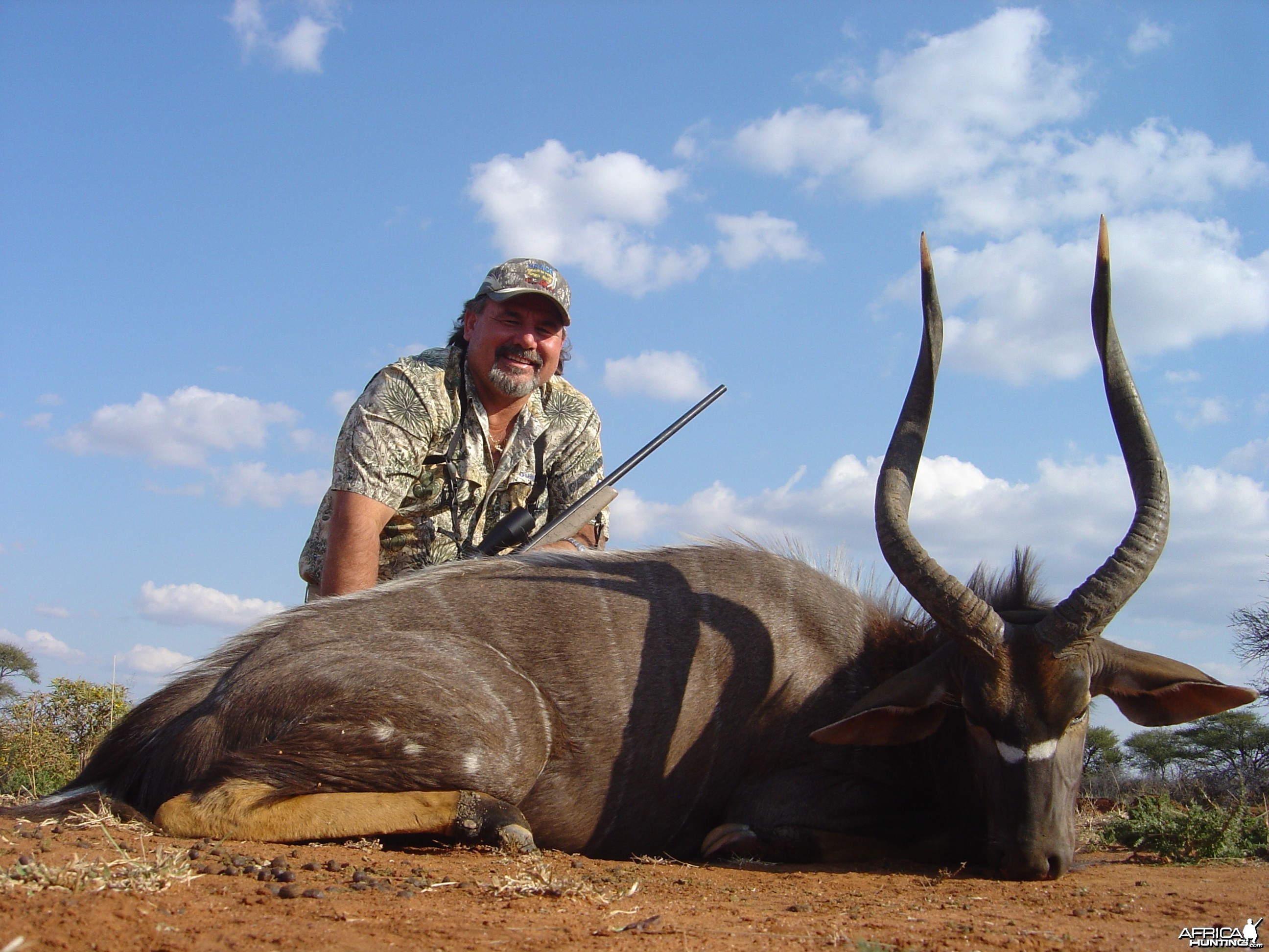 A good Nyala Bull from 2008