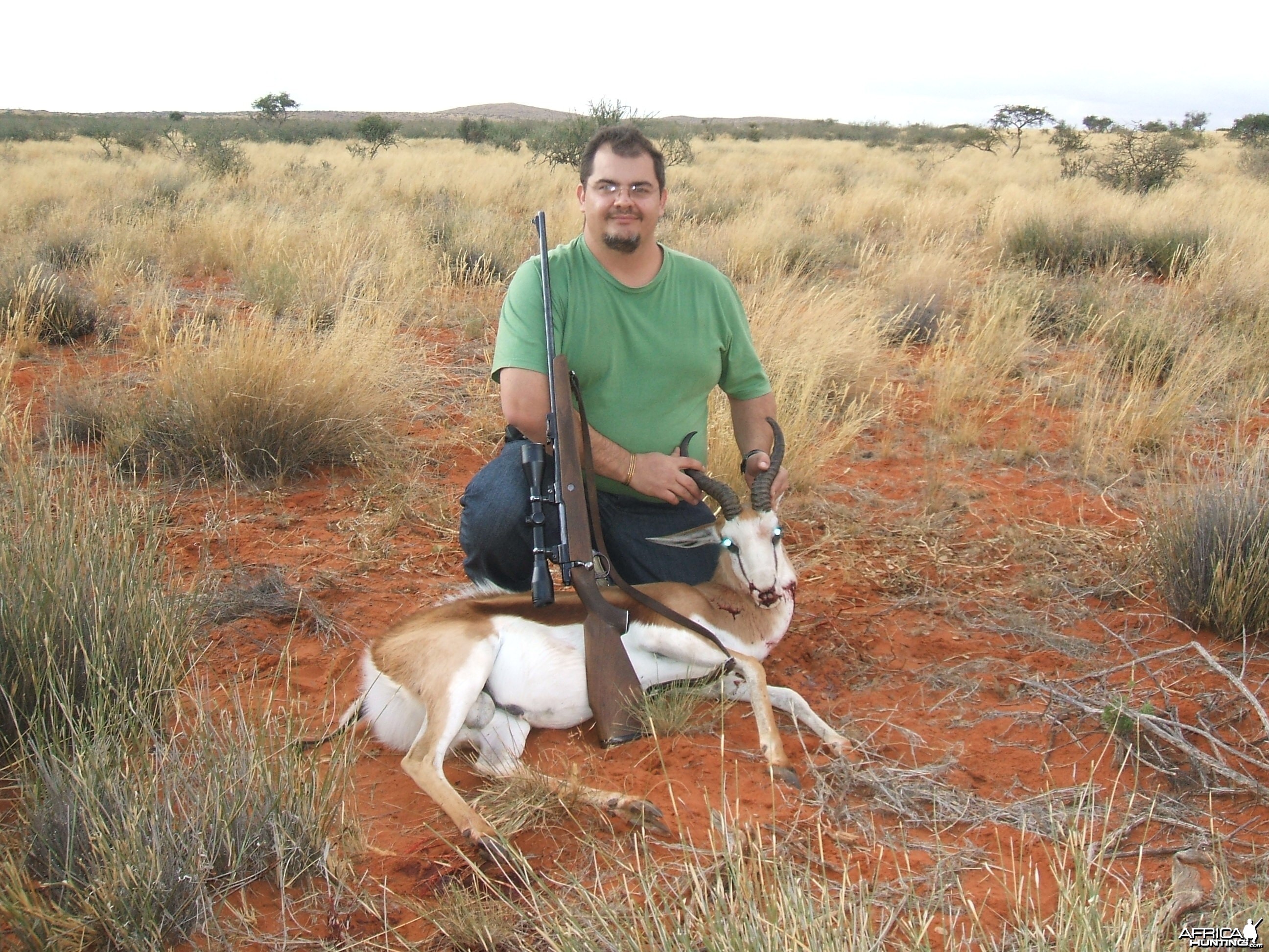 Hunting Springbok