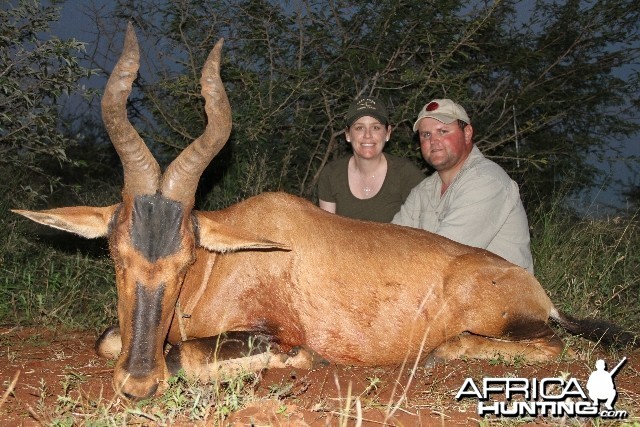 Hartebeest