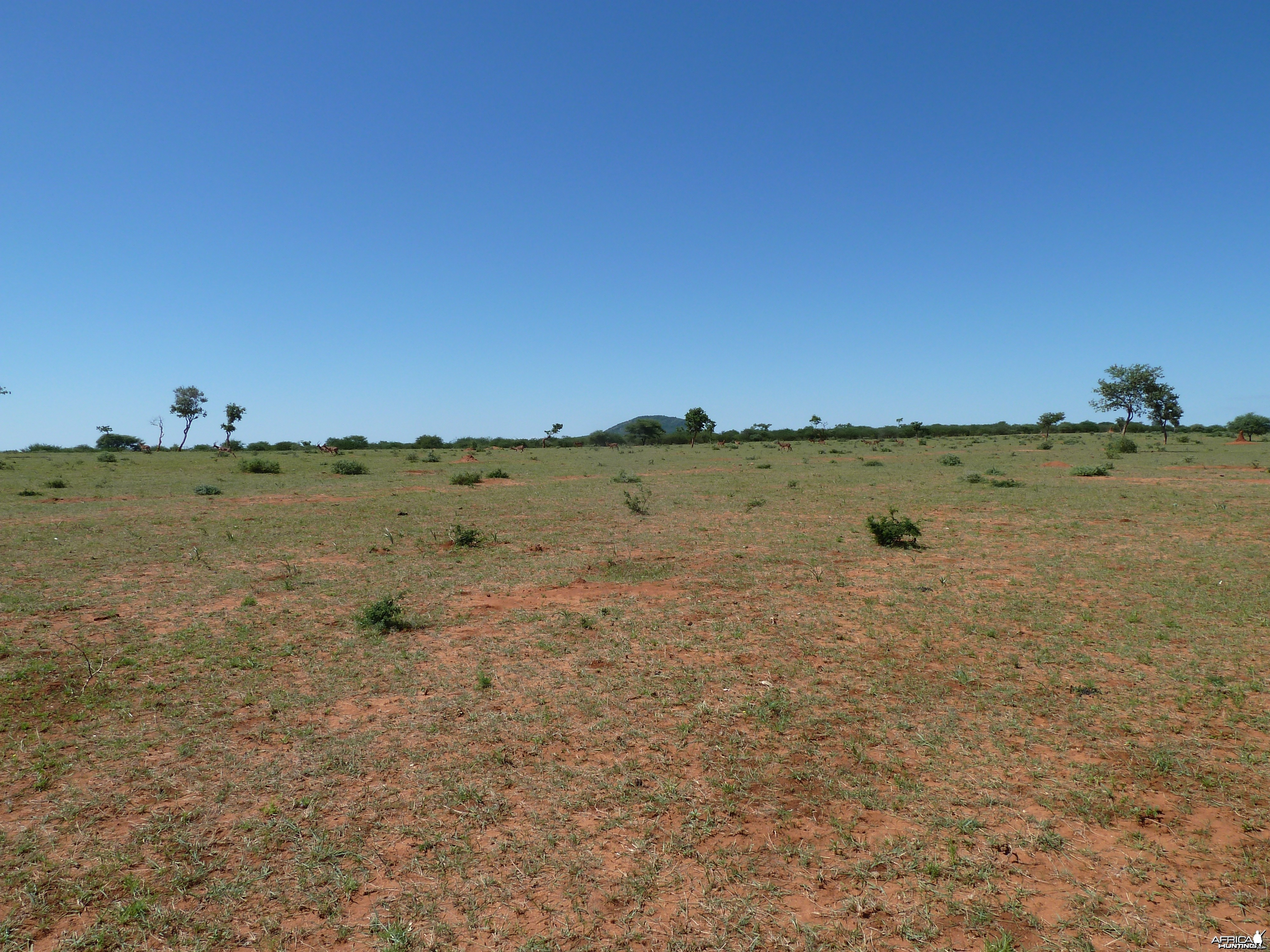 Hunting at Ozondjahe in Namibia