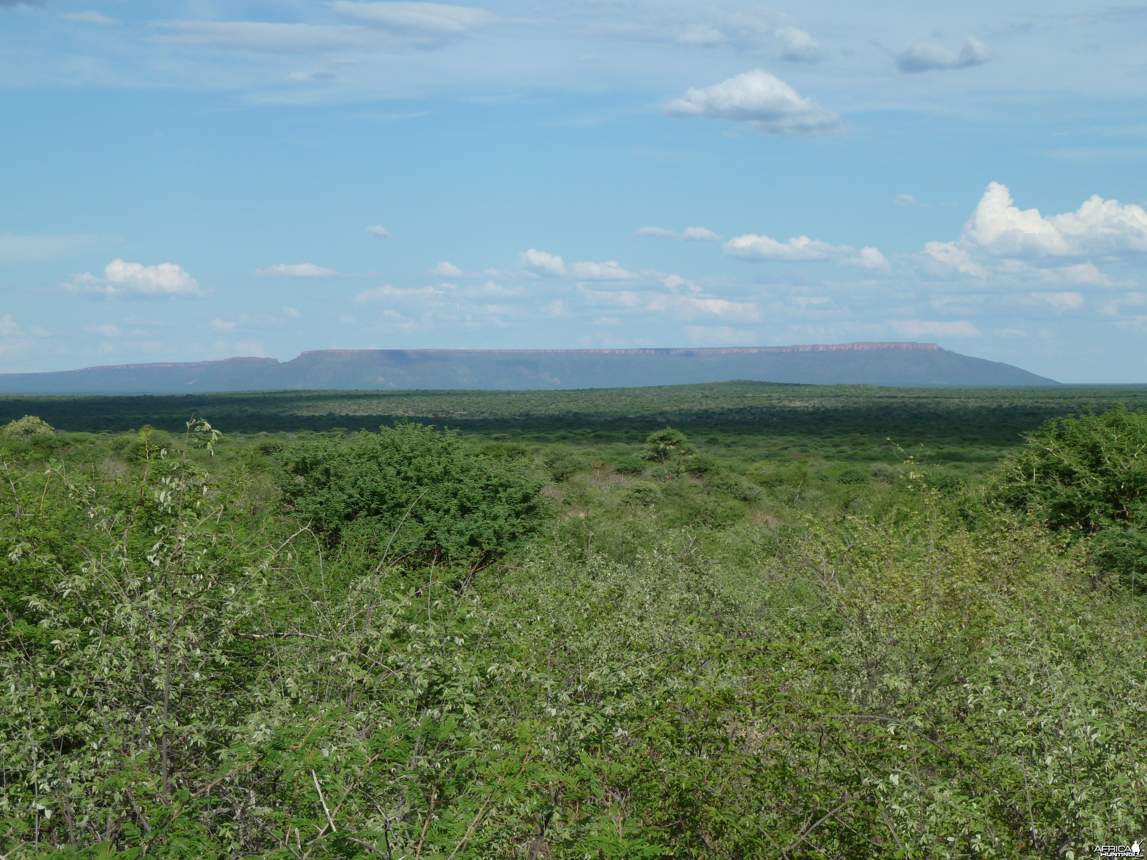 Hunting at Ozondjahe in Namibia