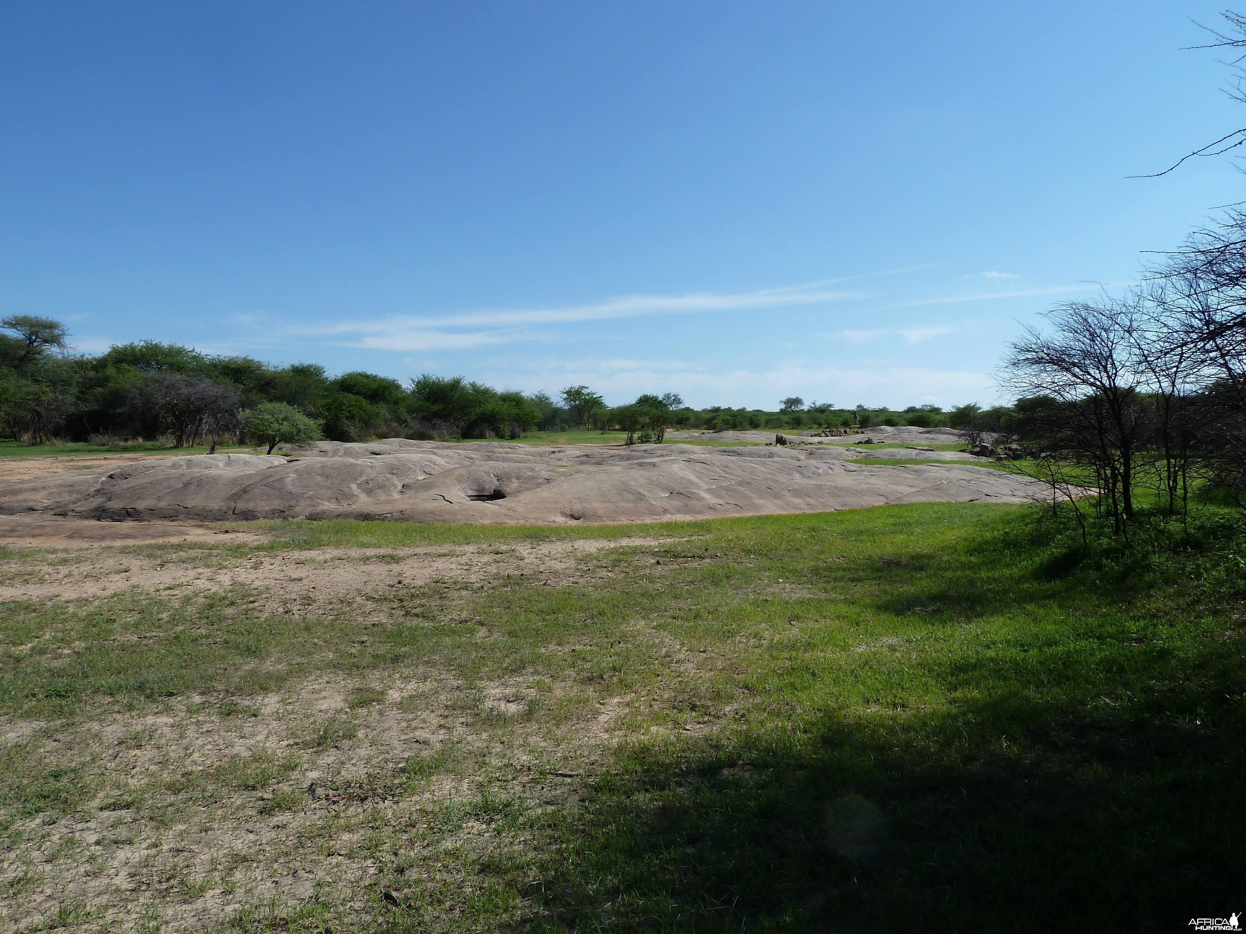 Bushmen rock engraving area in Namibia