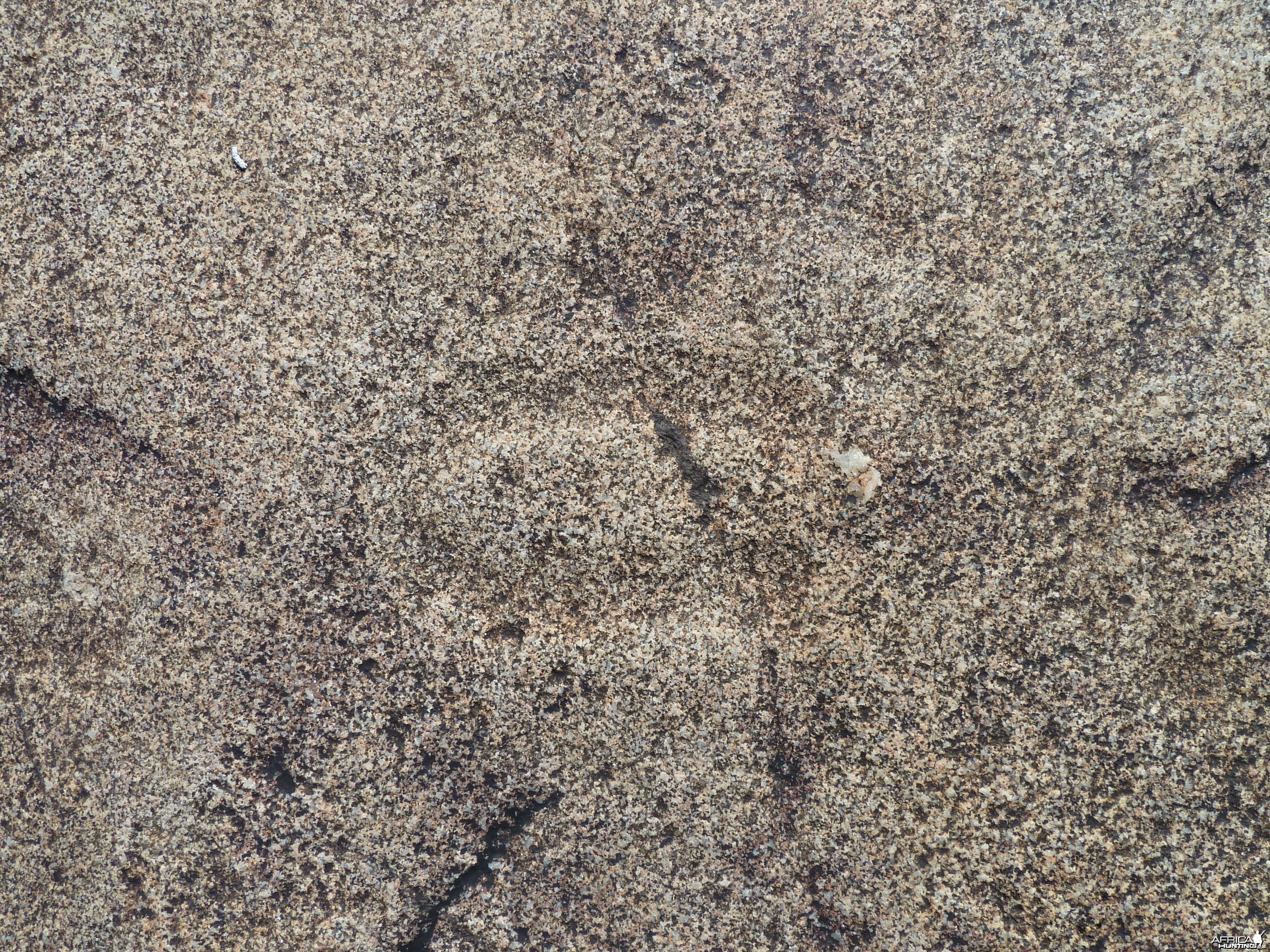 Animal tracks in the rock in Namibia