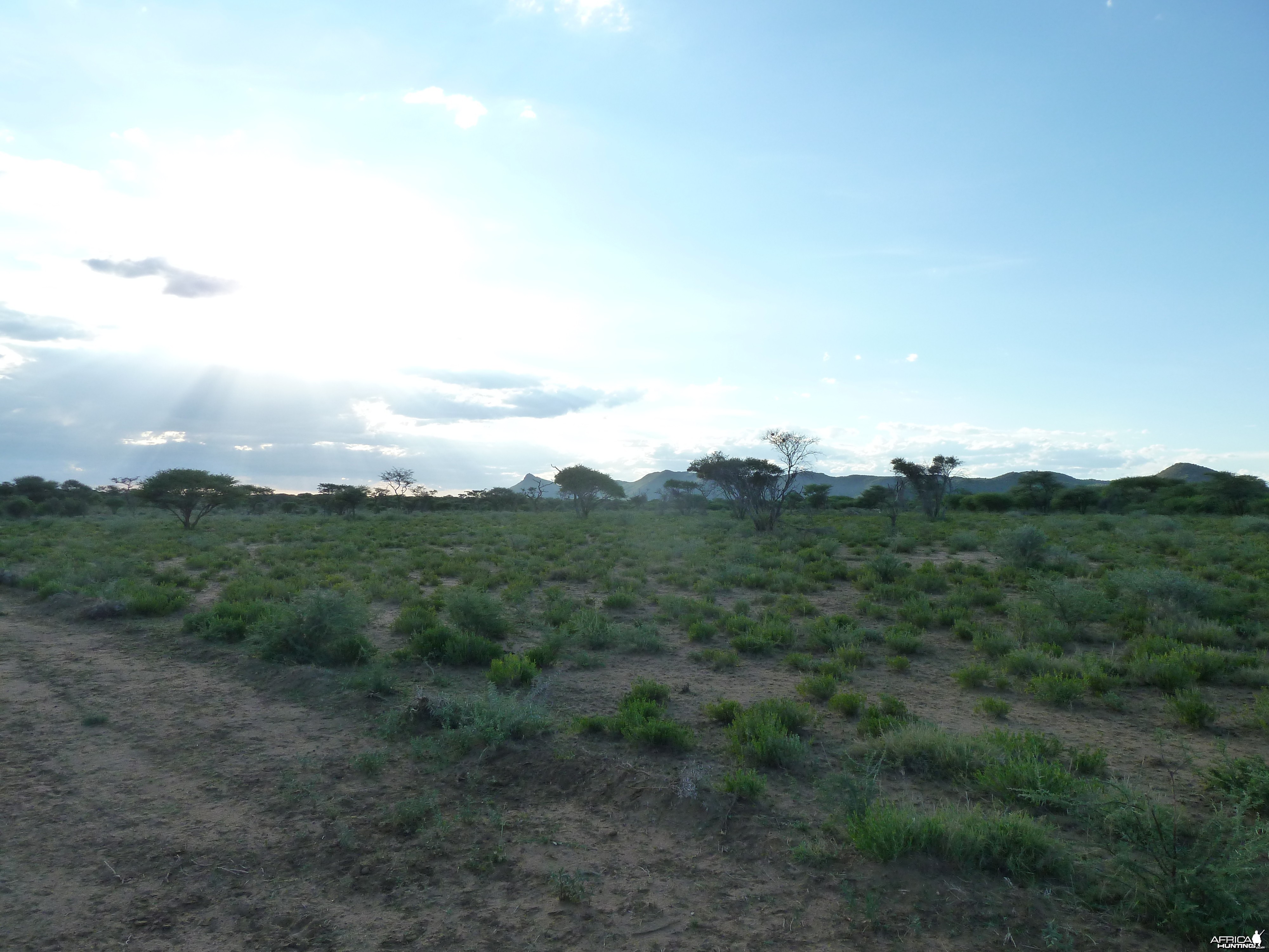 Hunting at Ozondjahe in Namibia