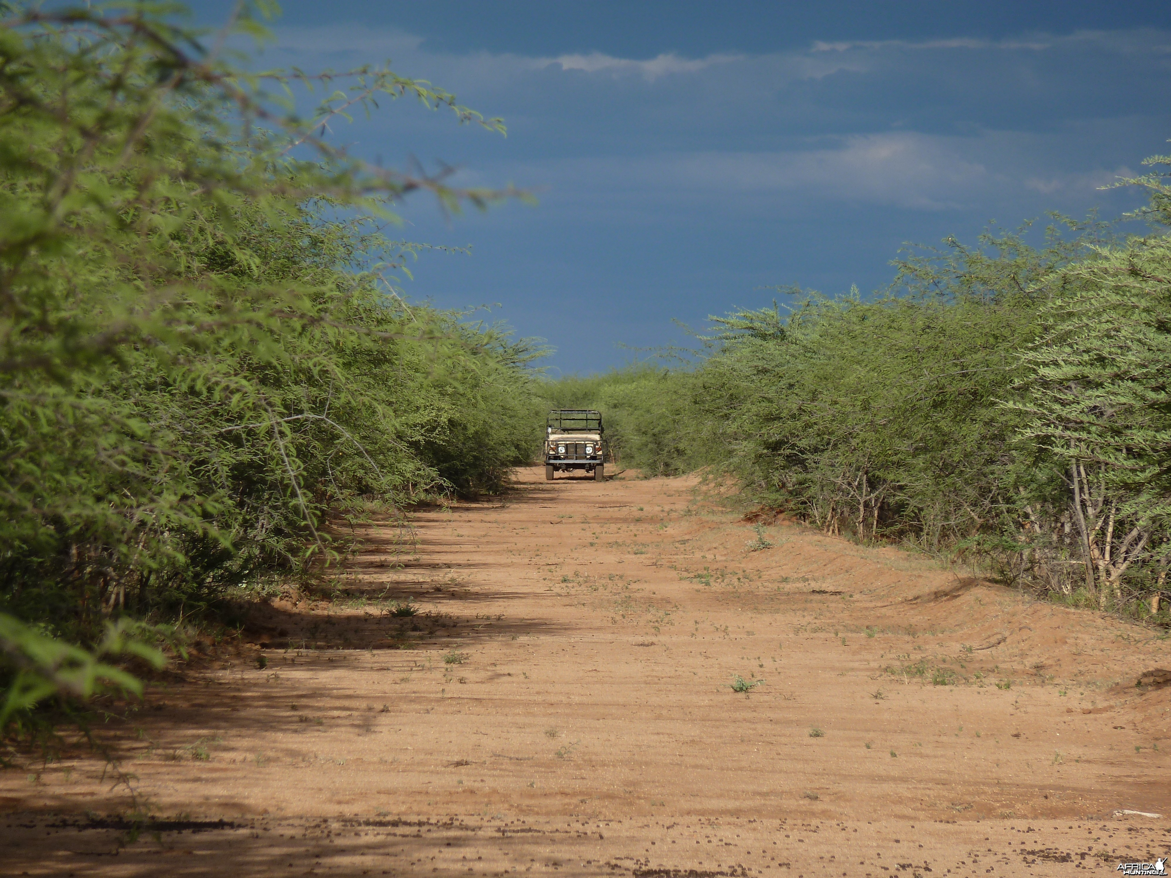 Hunting at Ozondjahe in Namibia