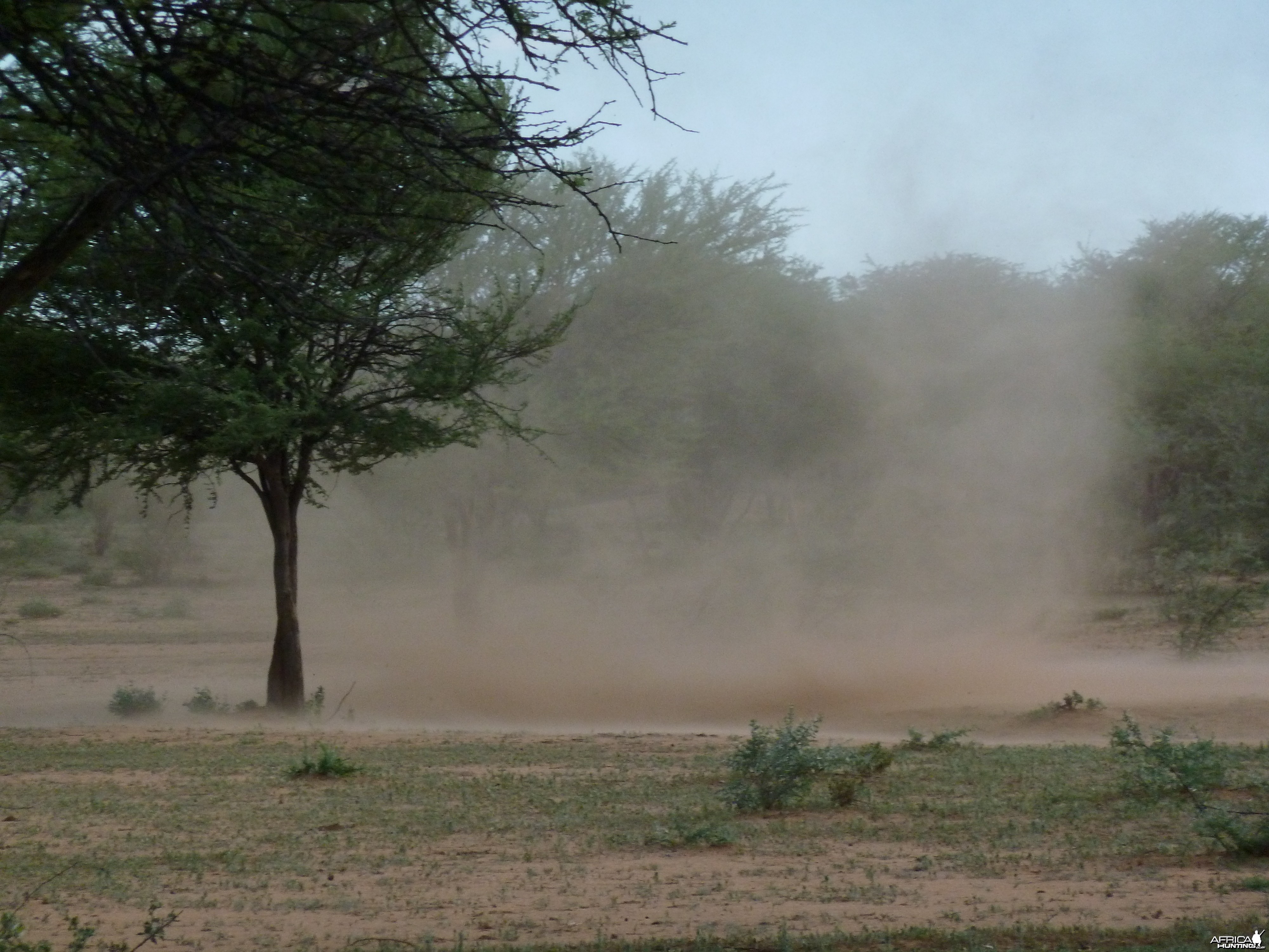 Wind Funel Namibia