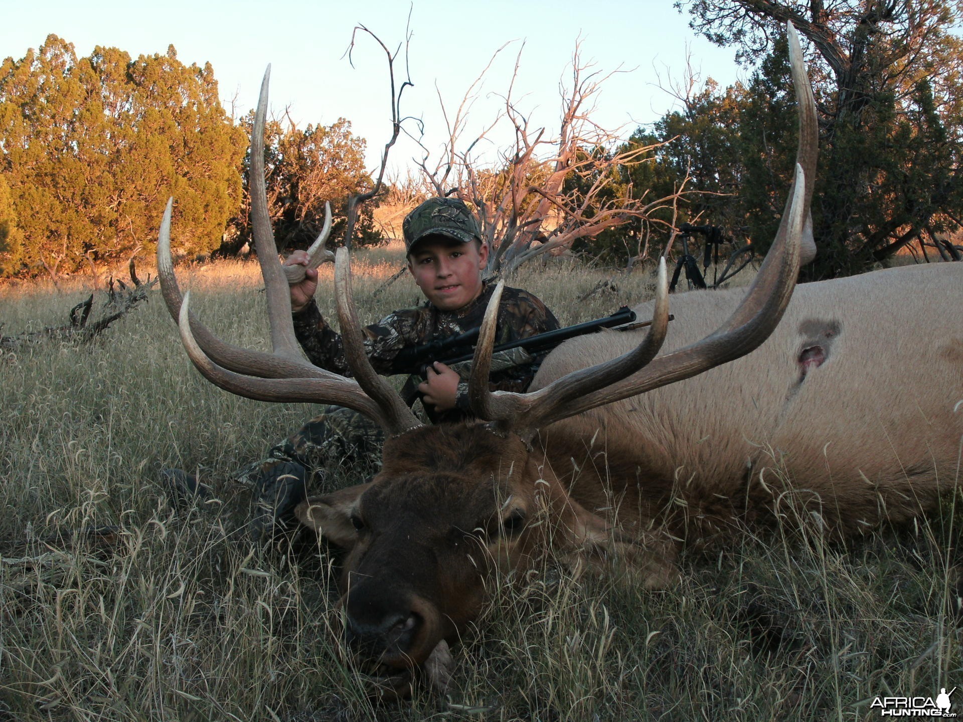 Hunting Elk New Mexico